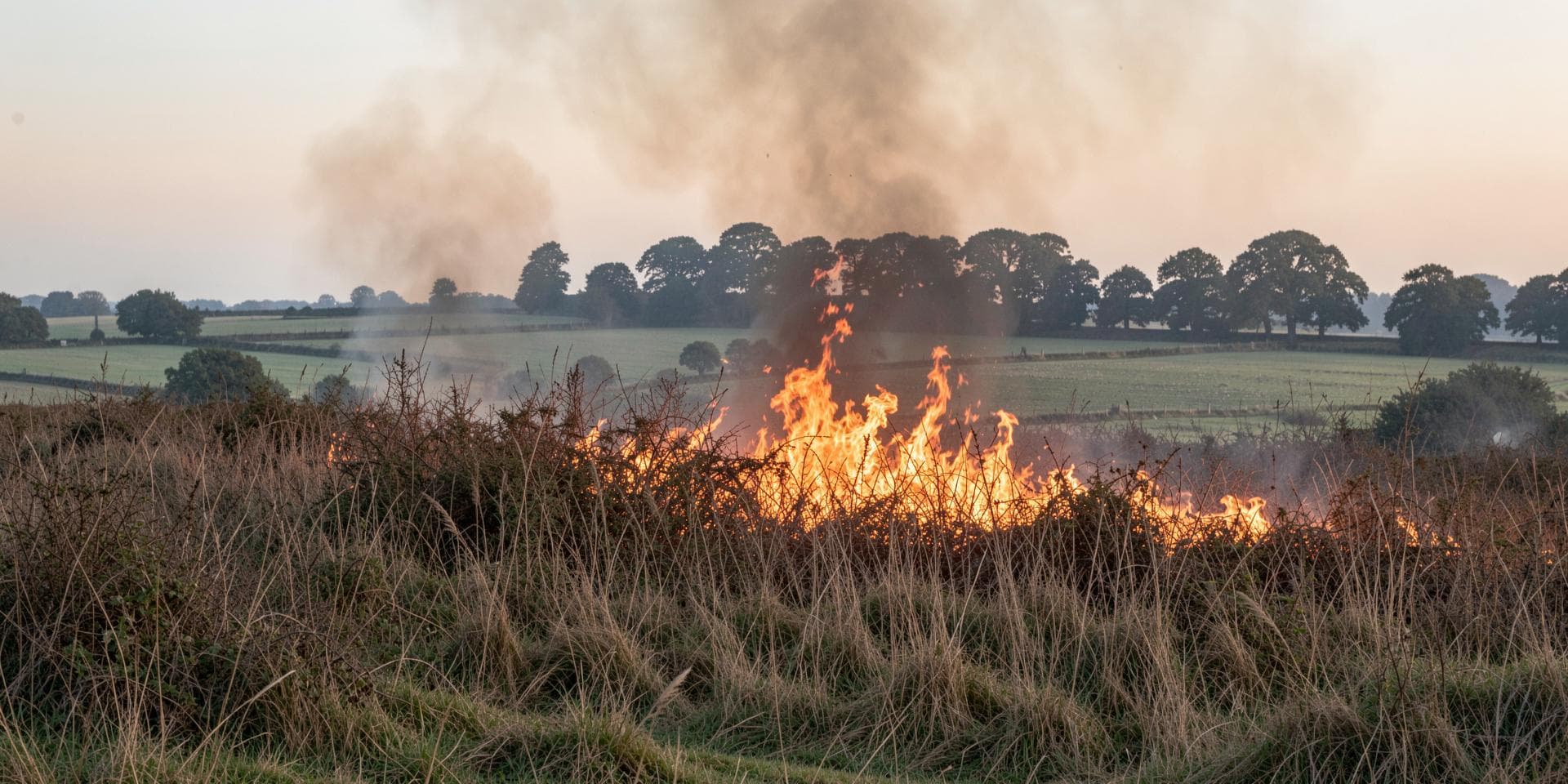 A grass and scrub fire burning in dry hedgerow growth, with English pasture, hedgerows and mature oaks beyond.